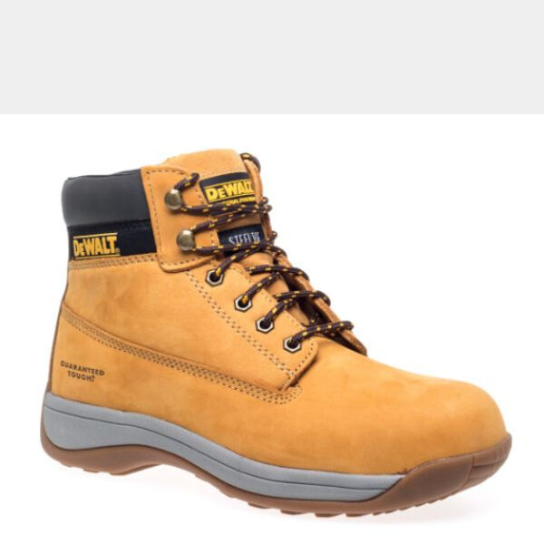 APPRENTICE Thumbnail